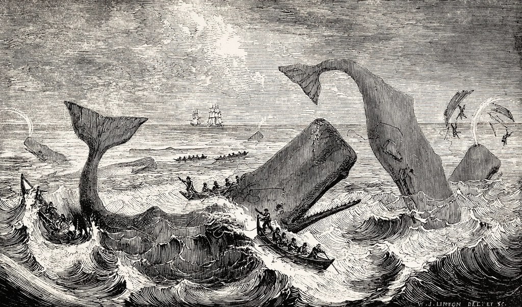The Descendants of Whaling Masters: Preserving America’s Maritime&nbsp;Legacy